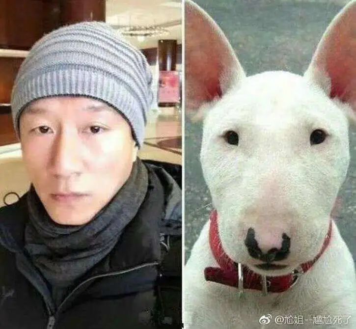 为什么会有人分不清阮经天和明道?__财经头条