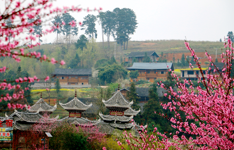 多彩贵州·花漾中国丨黔东南的小众赏花胜地
