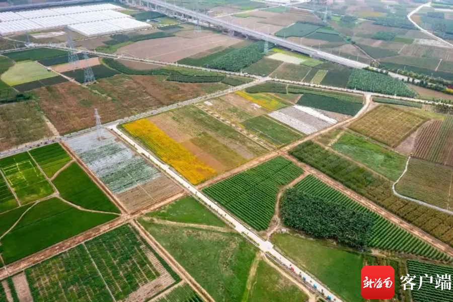 南繁新成果发布 首个全流程智慧育种平台落地三亚崖州湾科技城|算法