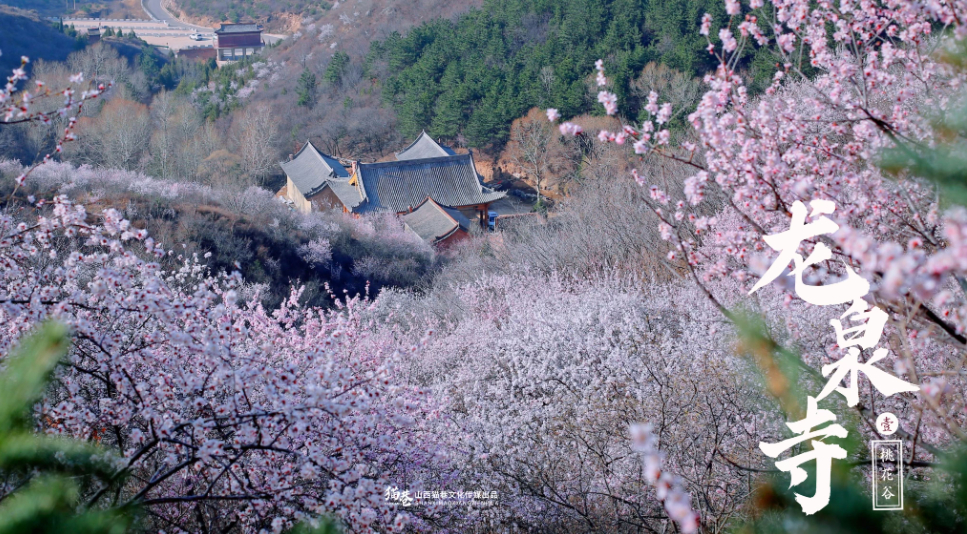 灵丘龙泉寺(资料图)