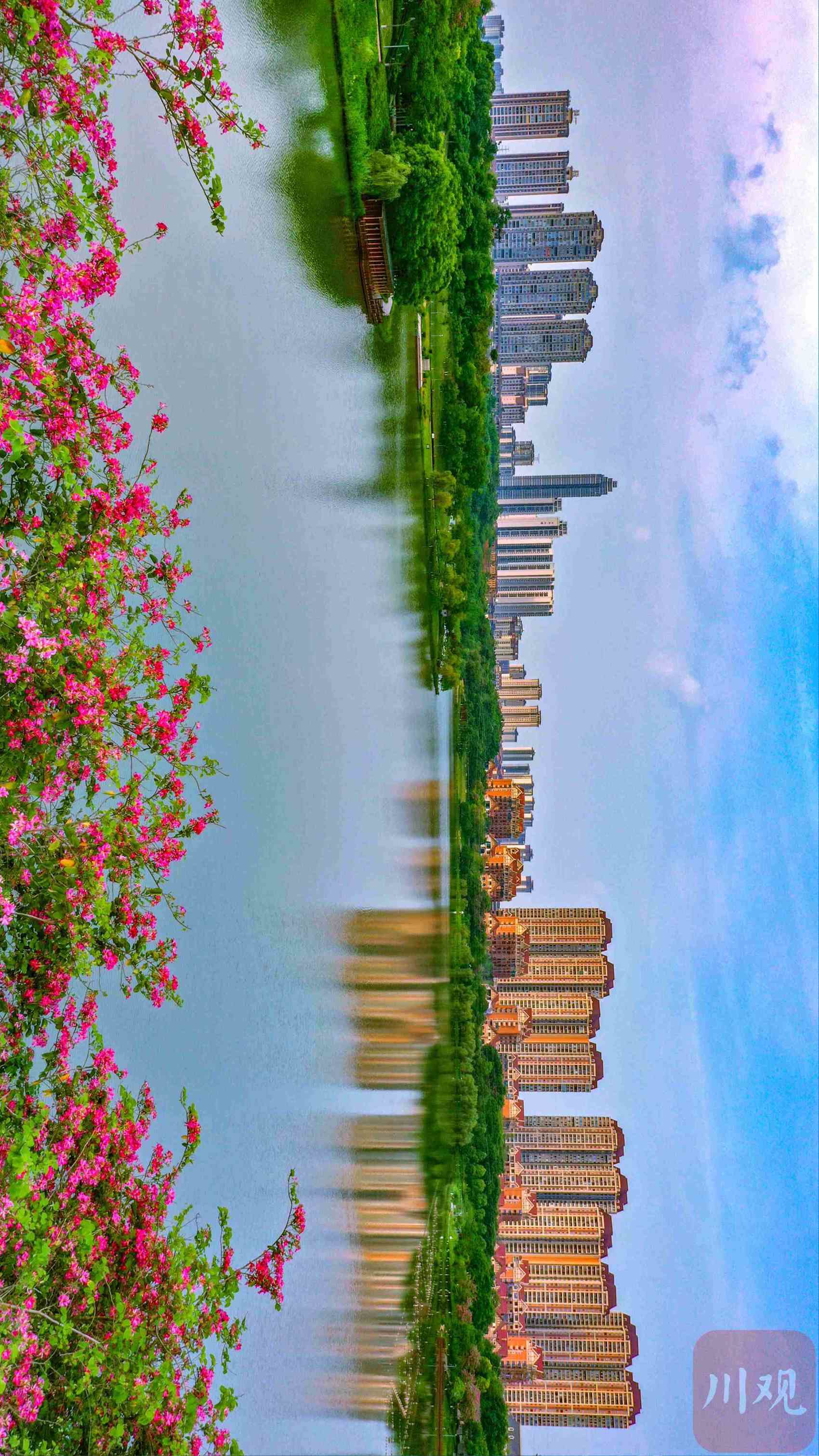 c视觉·记录我的城96丨仁寿:乘着春风启航 追梦小城生活|追梦_新浪