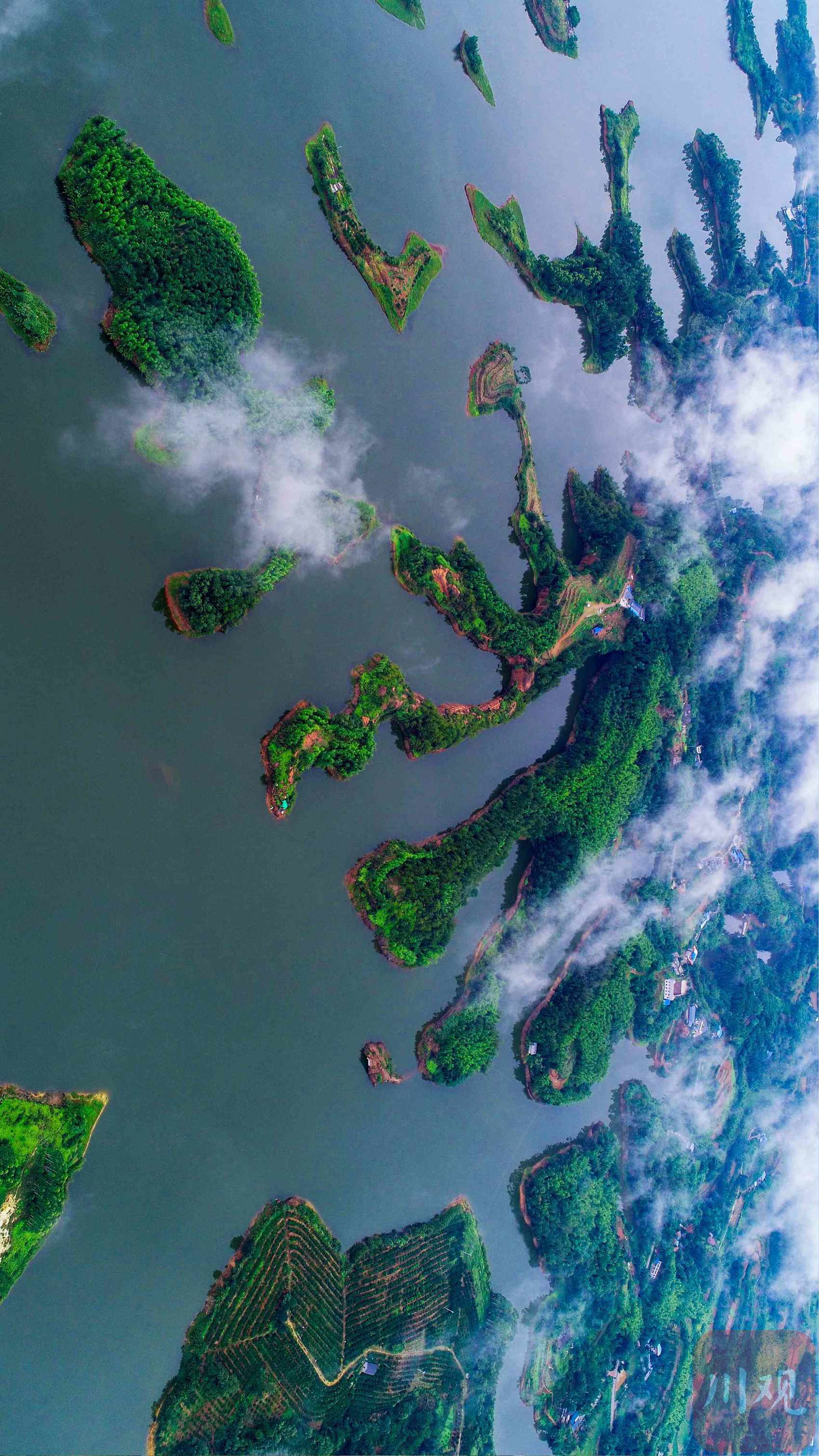 c视觉·记录我的城96丨仁寿:乘着春风启航 追梦小城生活|追梦_新浪