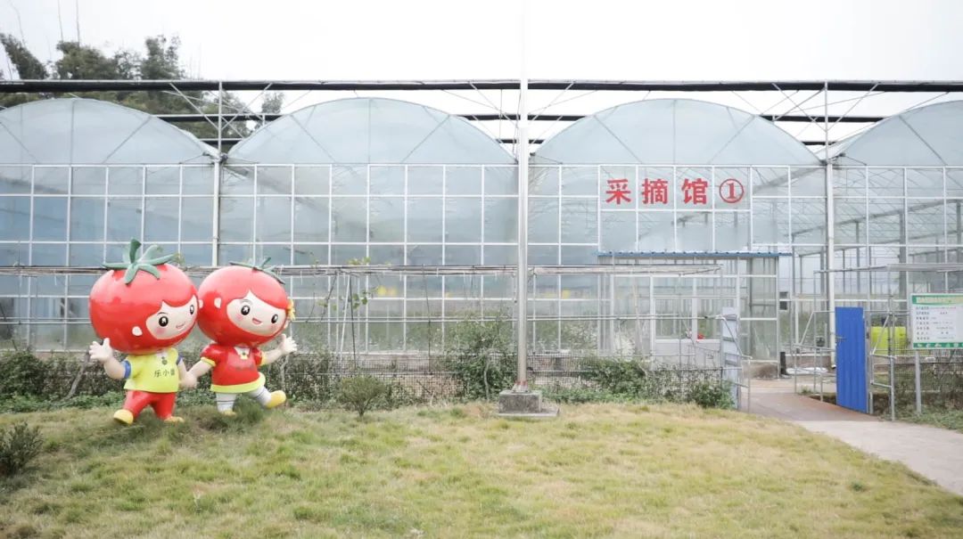 深圳特区报记者 叶雨楠 摄产业共建不断深化激发发展内生动力2023年