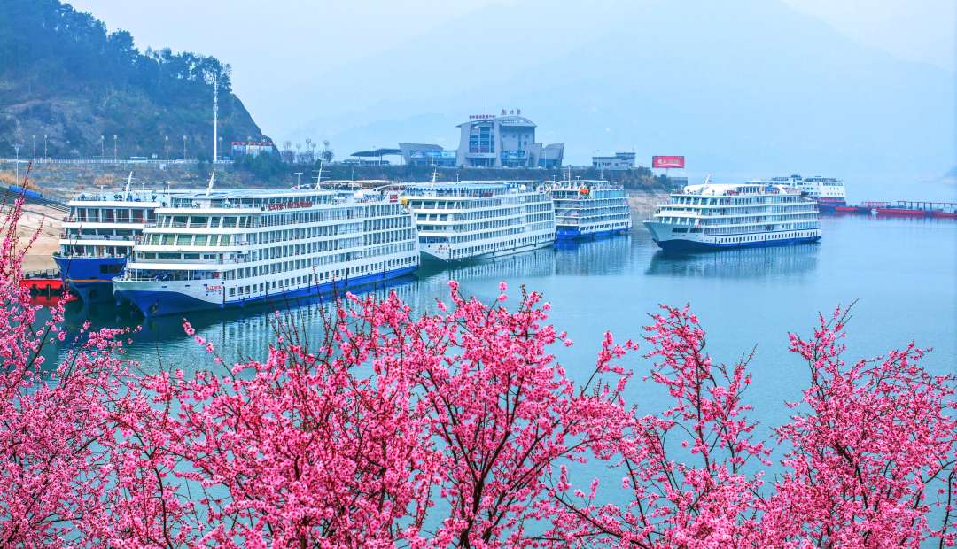 长江三峡游轮发船及客运量持续增长|长江三峡_新浪财经_新浪网