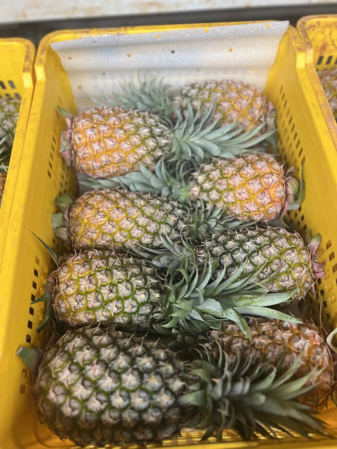 这个解腻法宝,不得了|凤梨_新浪财经_新浪网