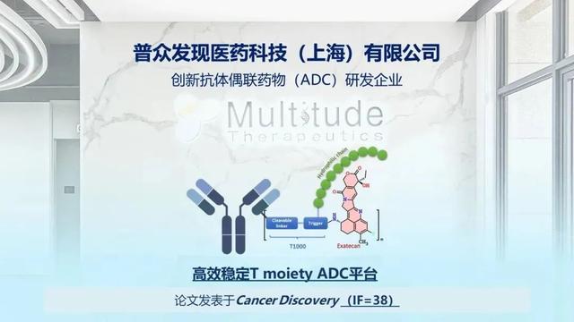 汤艳芳:聚平台之力,拓药物之"能"|药物研发_新浪财经_新浪网