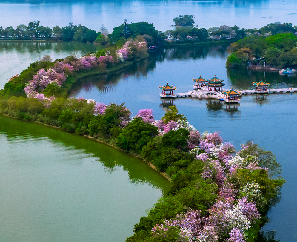 三月来星湖赏花,震撼你一整年!090909