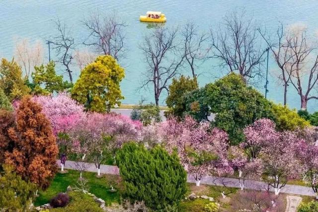 春天越来越近了,周末坐上高铁去逛长三角的公园吧