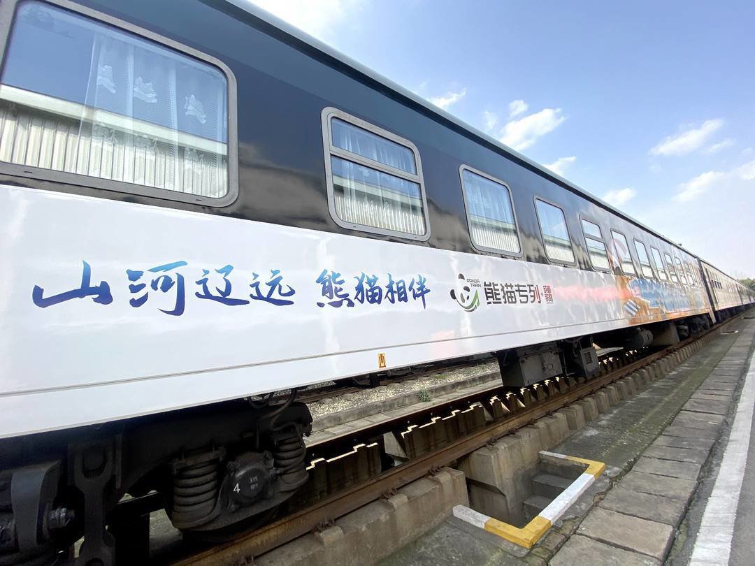 "熊猫专列"更新涂装后首上线 杨晨 摄