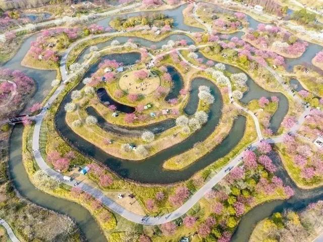 坐上高铁去逛长三角的公园啦,这些美景等你来打卡