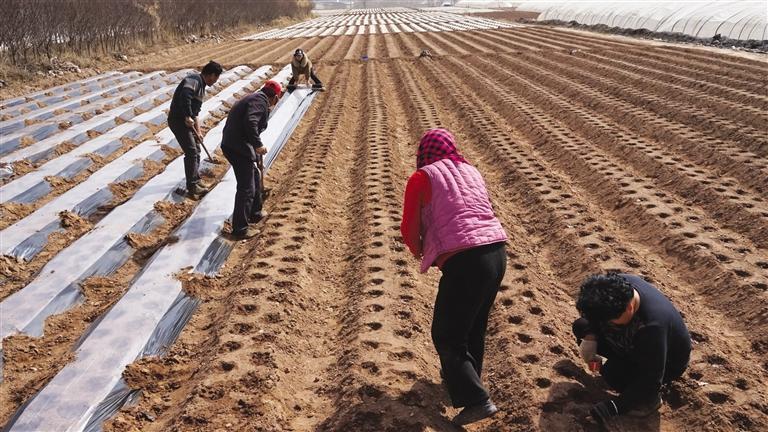 红古区:湟水河畔 高标准农田建设忙|农业农村_新浪财经_新浪网