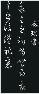 书艺高超的古代女书法家|蔡文姬_新浪财经_新浪网