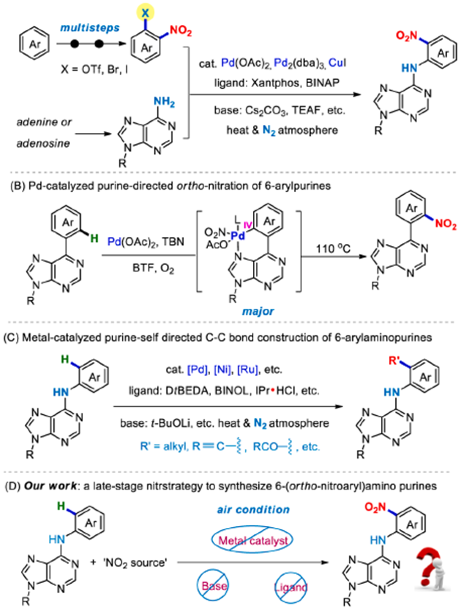 1179|chen_新浪财经_新浪网