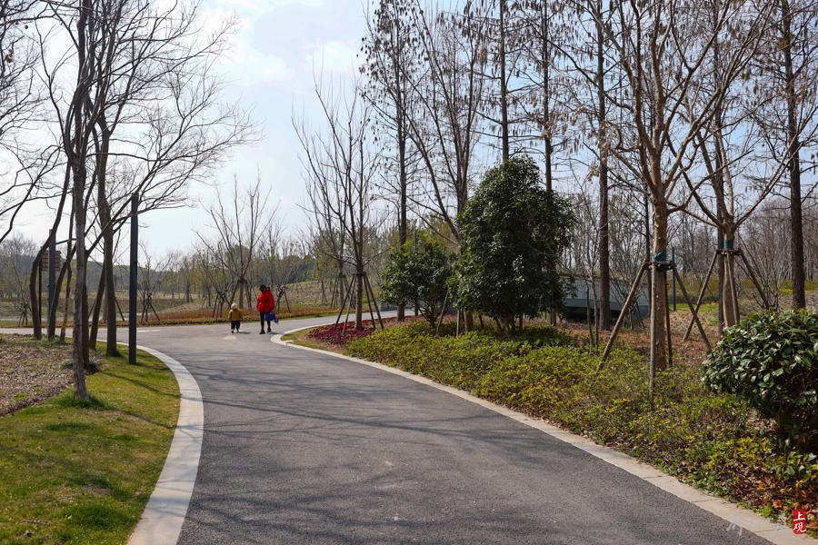 普陀区首座环城公园春光公园全面开放|环城公园_新浪财经_新浪网