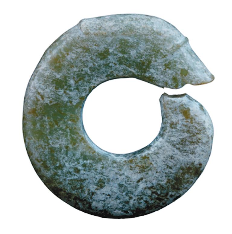 探访远古"中华龙"|考古_新浪财经_新浪网