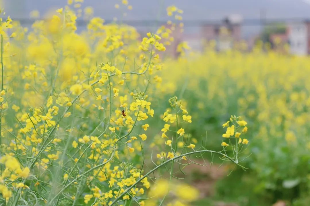 05|肇庆市_新浪财经_新浪网