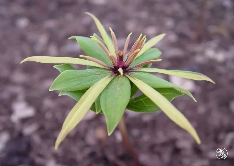 火腿_新浪财经_新浪网