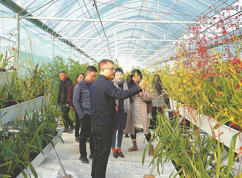 光泽县崇仁乡崇仁村的农业科技示范园 (光泽县农业农村局供图)