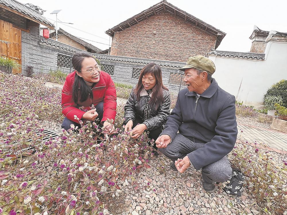 光泽县崇仁乡崇仁村的农业科技示范园9日,光泽县第三届稻花鱼米食味鉴