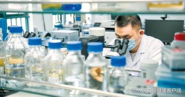海南苏生生物科技有限公司位于海口国家高新区，图为该公司科研人员用倒置显微镜观察细胞生长状态。王程龙摄