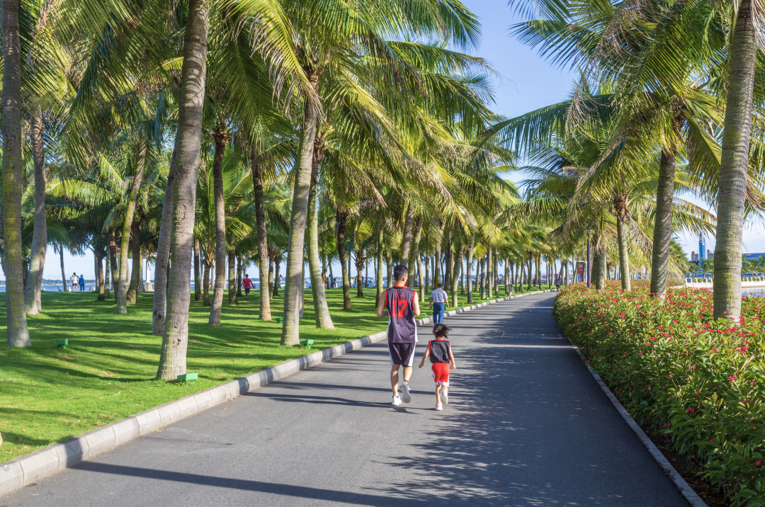 自带"绿"镜的湛江,"美"一帧都是大片!|湛江市_新浪财经_新浪网