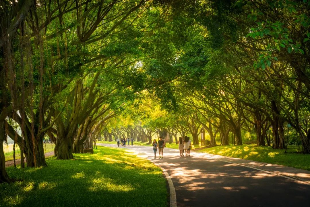 森林公园.&nbsp;受访者供图