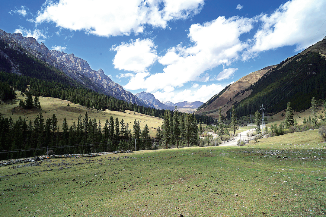 人大代表:设立草原重大科技专项 科学分类加强草原管理|草地分类_新浪