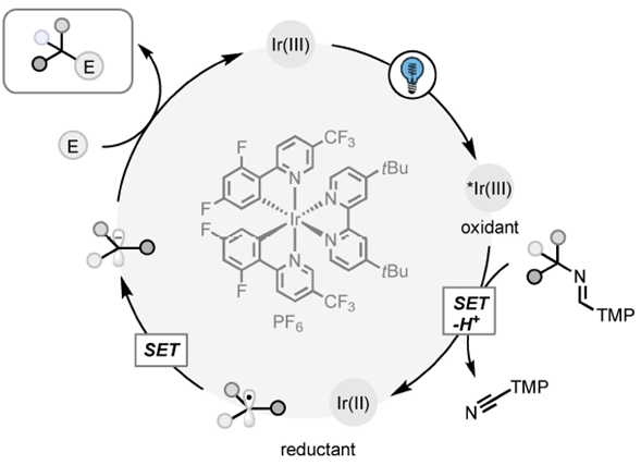 康学术reactionofthedayno1180