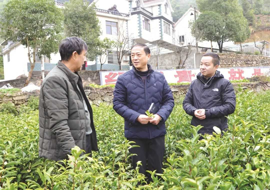 第十四届全国人大代表,安徽省池州市贵池区梅村镇霄坑村党委书记兼