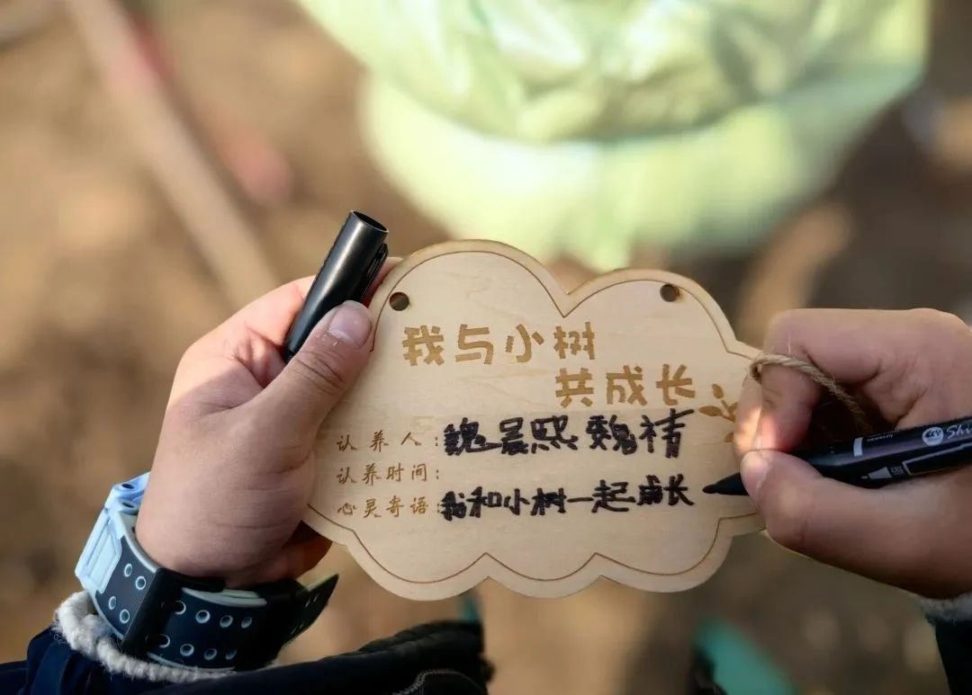 植树节到来,"红领巾"这样做