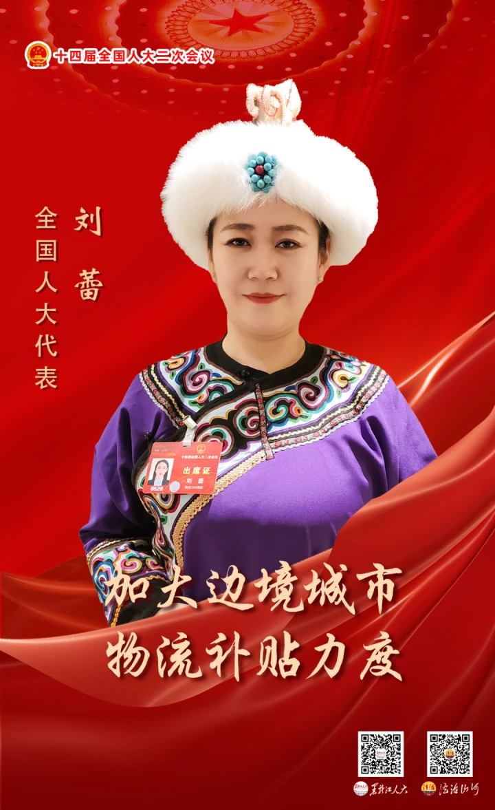 两会声音|刘蕾:加大边境城市物流补贴力度