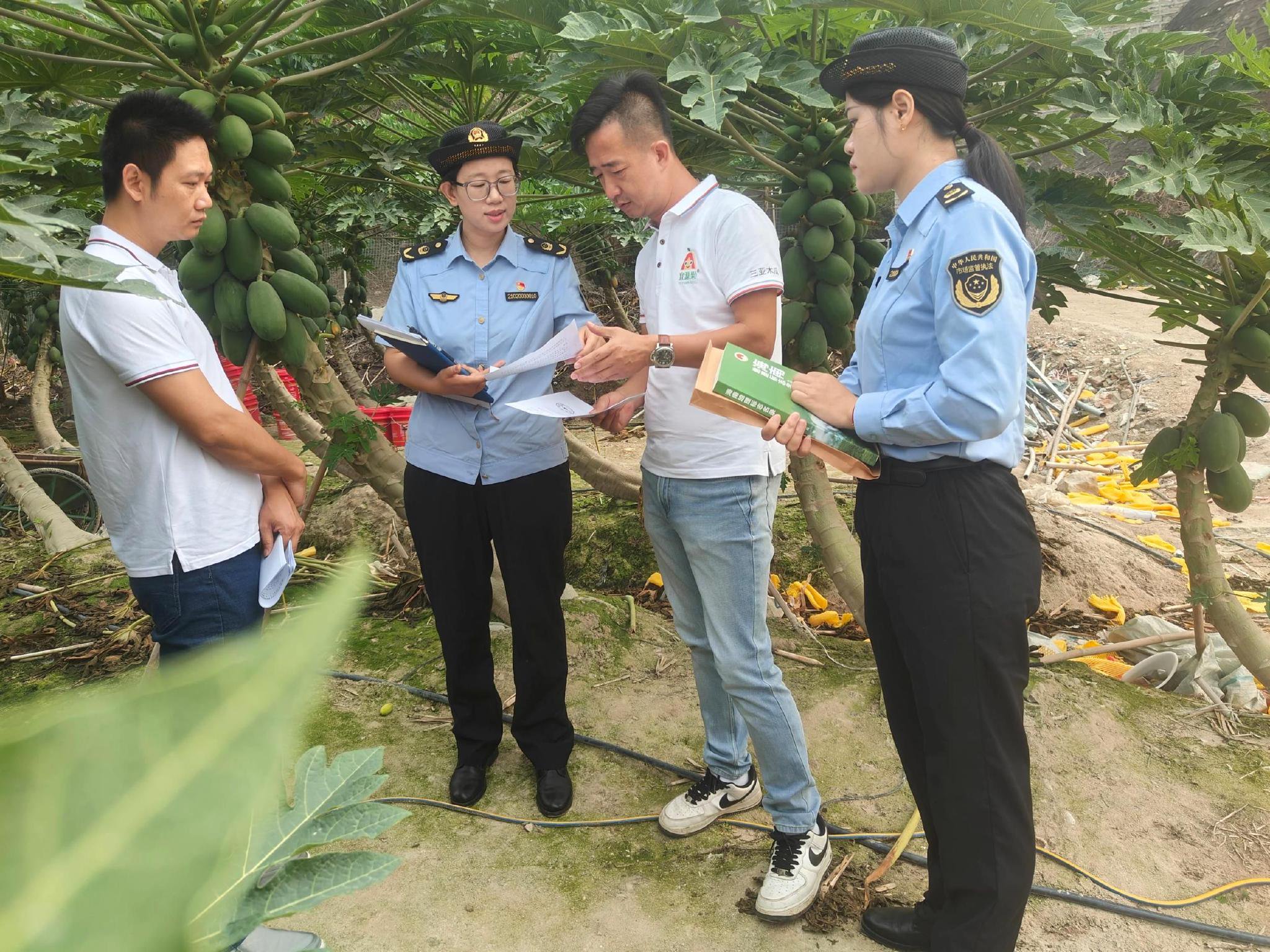 三亚把地理标志服务送到田间地头 扎实推进地理标志品