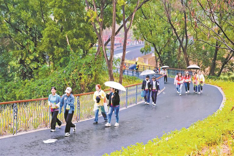 漫步碧道 龙华又多一景|河道_新浪财经_新浪网