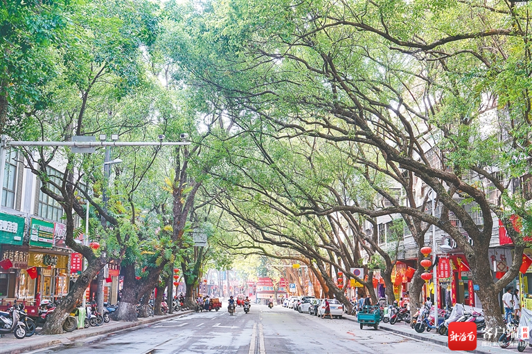 海南周刊丨海南城镇道路景观:街头巷尾多"姿色"_新浪财经_新浪网