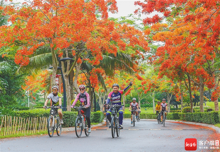 海南周刊丨海南城镇道路景观:街头巷尾多"姿色"_新浪财经_新浪网