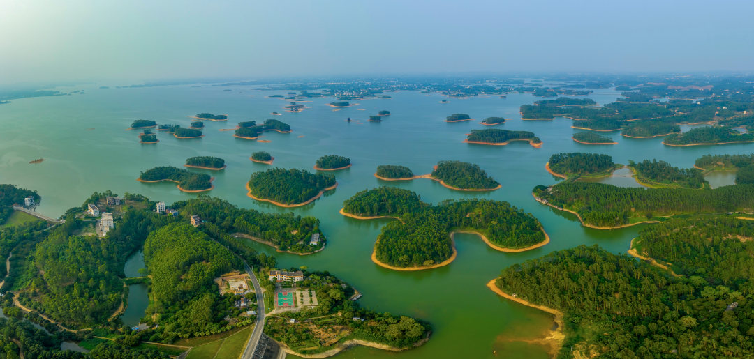 自带"绿"镜的湛江,"美"一帧都是大片!