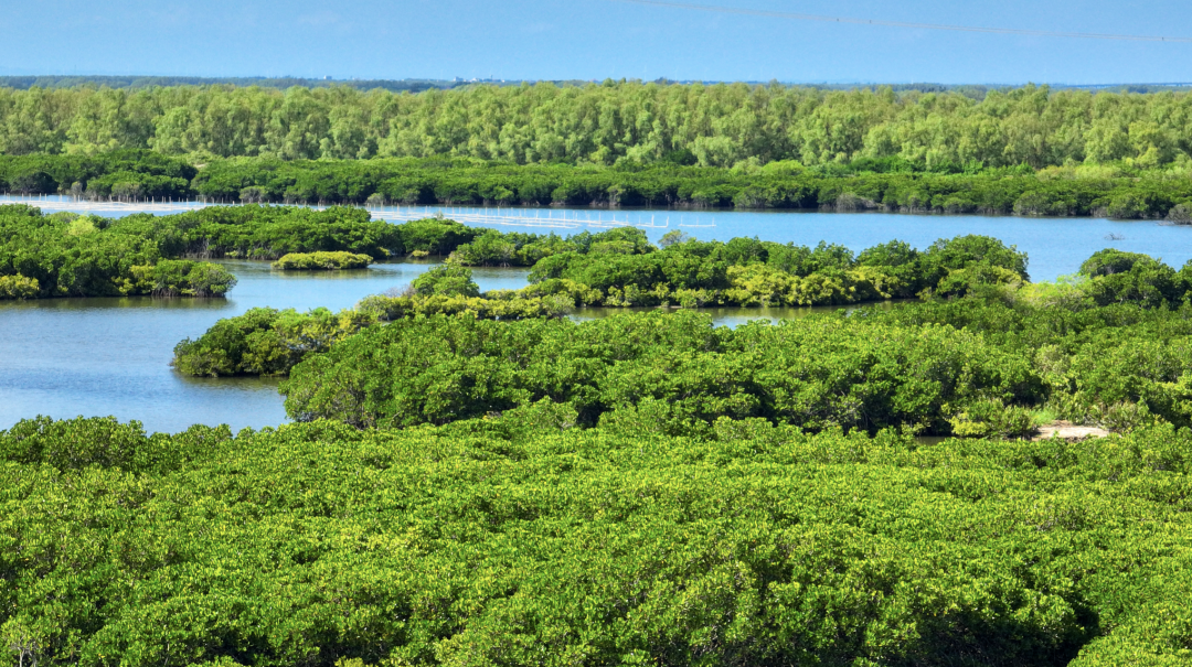 湛江市_新浪财经_新浪网