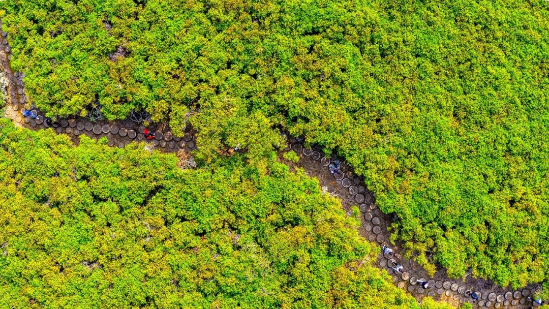 湛江市_新浪财经_新浪网