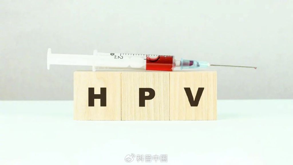 hpv和宫颈癌相关,但患上宫颈癌的罪魁祸首可能不是