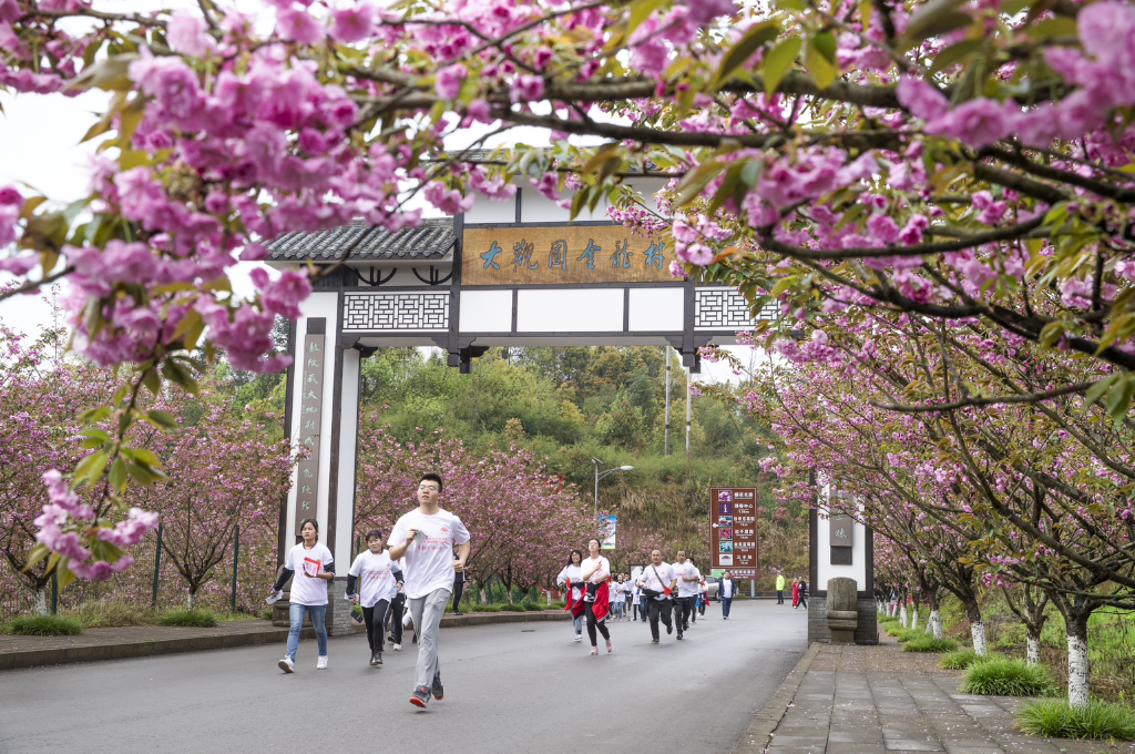 重庆市智慧旅游乡村示范点——南川区大观镇金龙村.主办方供图