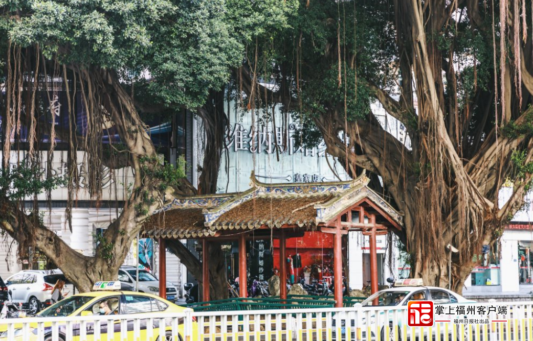 福州人有这个爱好!_新浪财经_新浪网