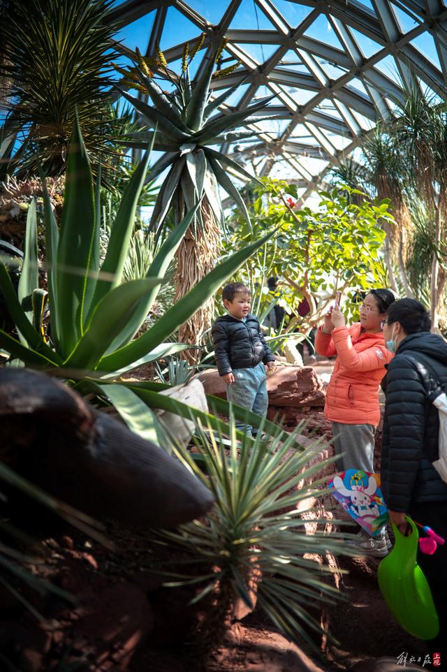辰山植物园已是一派春意盎然|樱花_新浪财经_新浪网