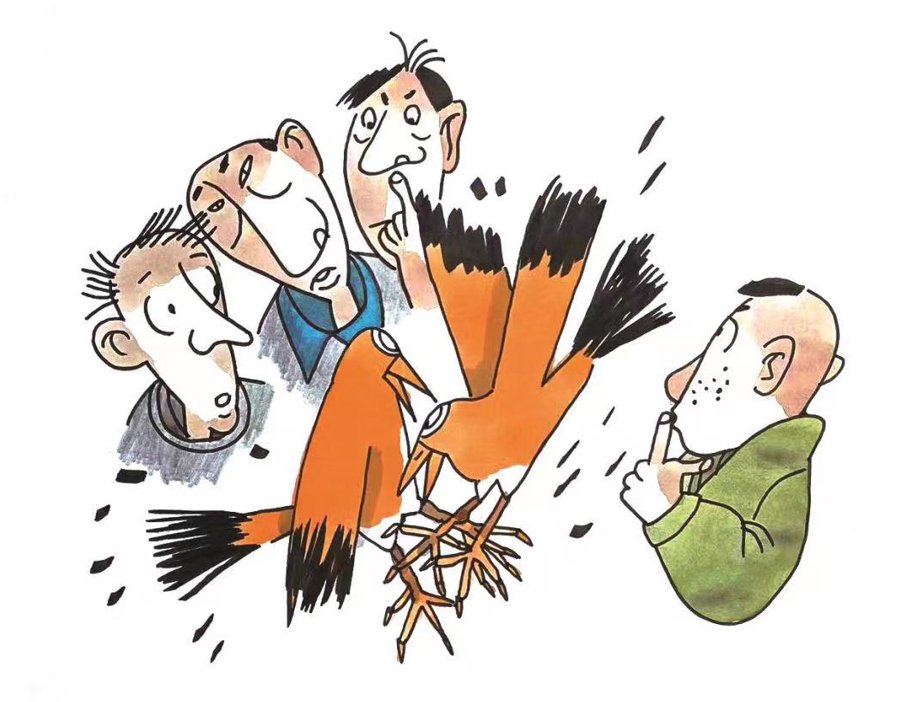 只要尚未分出胜负,场内的观众都可以参与"飞苍蝇",一时间,画眉鸟尖锐