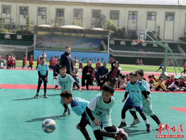 春暖花开日 运动正当时 怀化市宏宇小学班级篮球赛开幕|篮球赛_新浪
