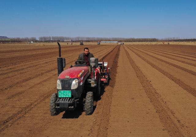 3月12日,河北省滦州市油榨镇的农民在田间使用播种机种植豌豆(无人机