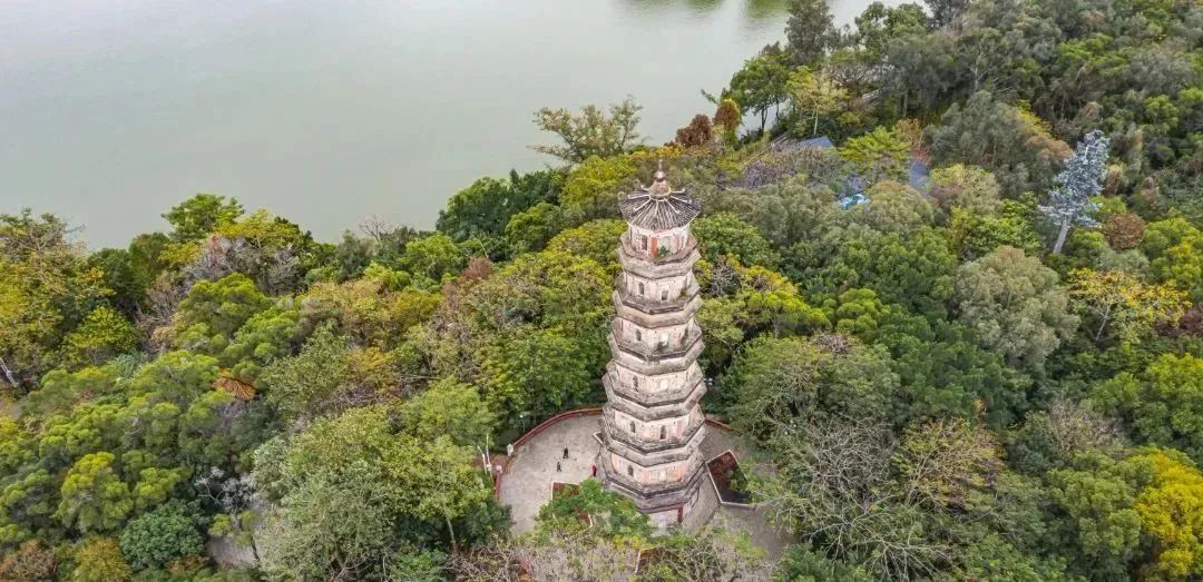 惠州,太养眼了!_新浪财经_新浪网