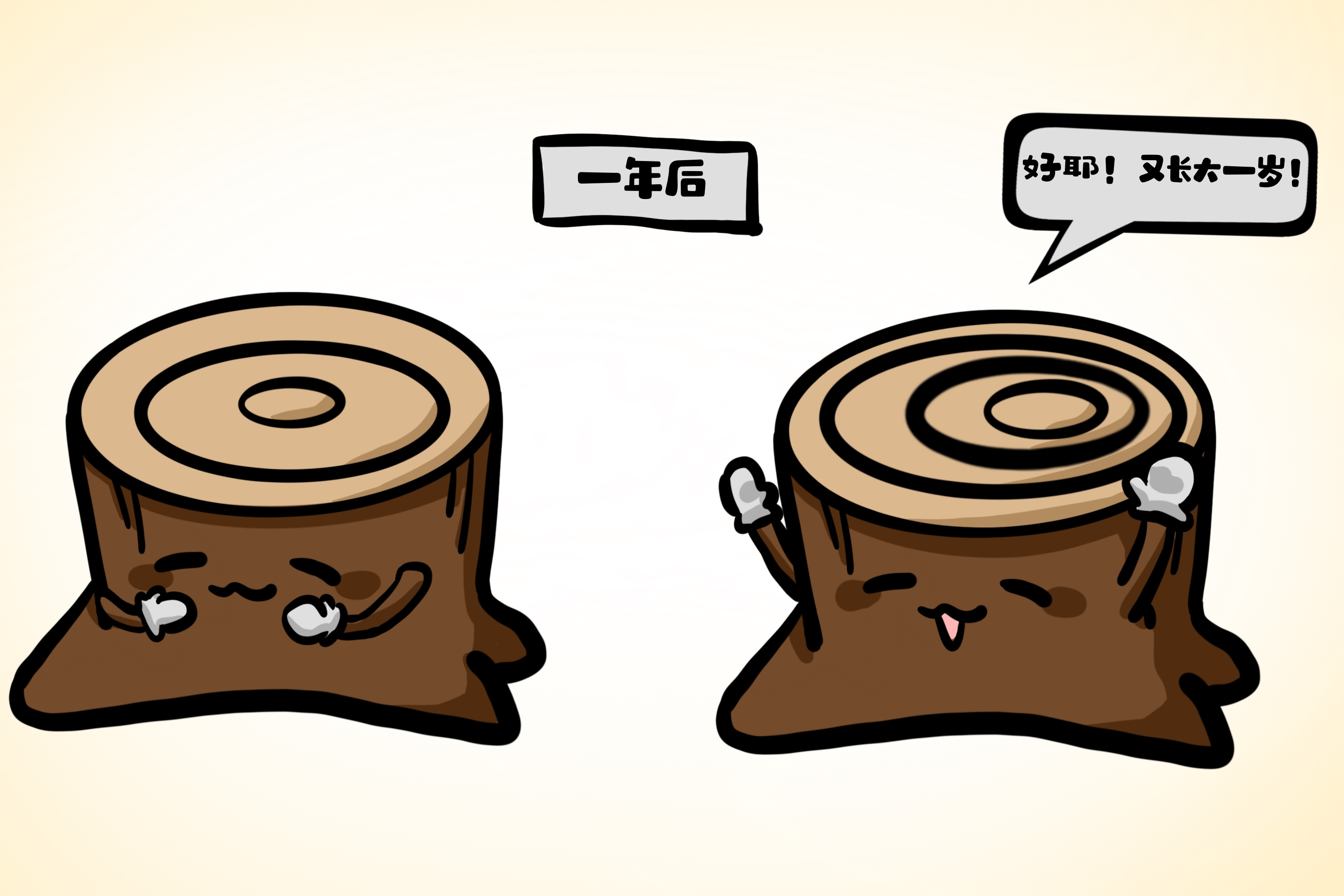 年轮记录着树木成长的春夏秋冬