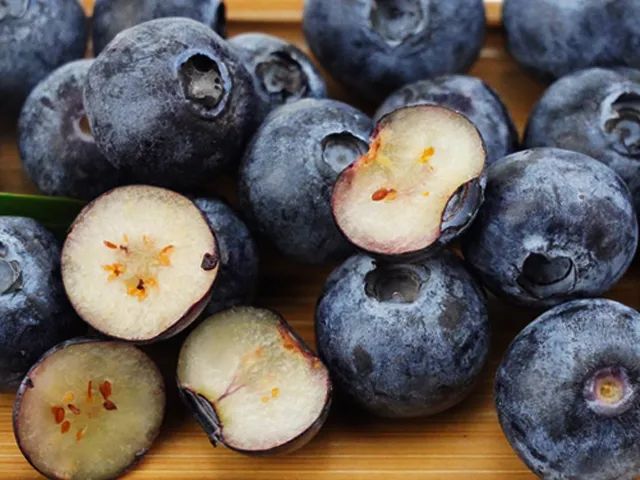 云南高原大果径蓝莓,甜!__财经头条