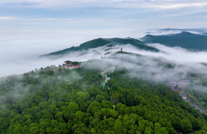 加强古树名木保护与研究 梓潼翠云廊历史文化研究院成立|绵阳市_新浪