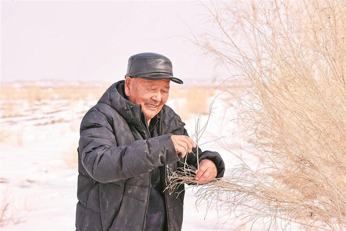 马献民:二十载坚守 在沙漠中播种希望|植树_新浪财经_新浪网